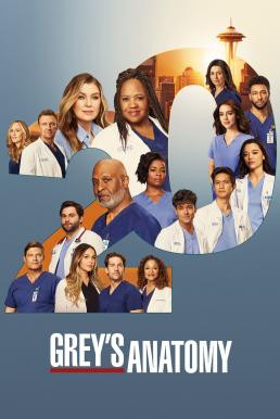 Grey's Anatomy แพทย์มือใหม่หัวใจเกินร้อย Season 20 (2024) บรรยายไทย